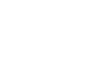 Vector